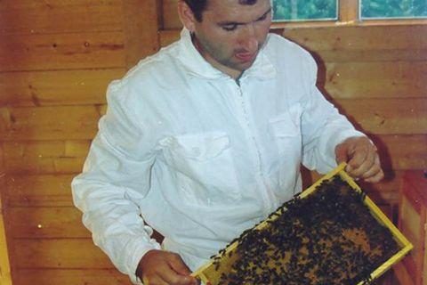 Bienenluft